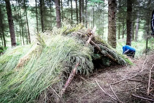 Tarp-Notunterkunft aus Ästen und Gras im Wald aufgebaut