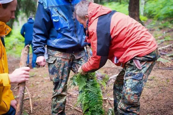 Zwei Personen binden Farne zu einer Notunterkunft im Wald zusammen
