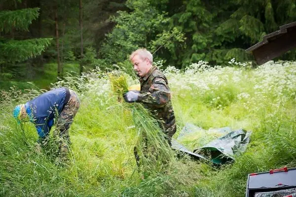 Zwei Personen sammeln Gras und legen es auf eine grüne Plane