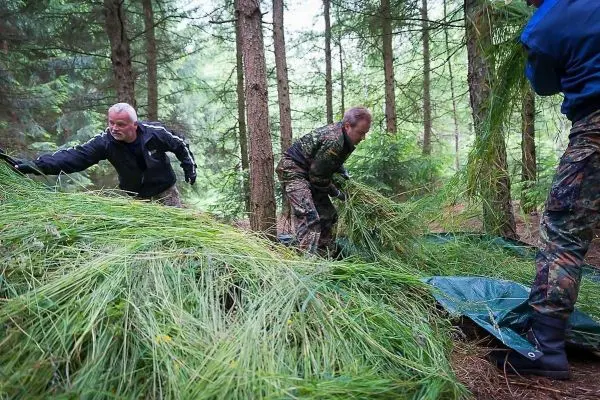 Zwei Personen sammeln Gras und legen es auf eine grüne Plane im Wald