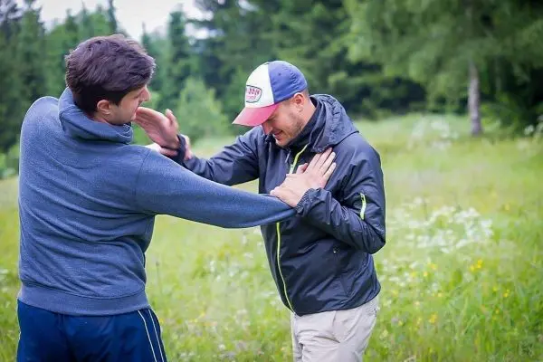 Zwei Personen üben eine Selbstverteidigungstechnik in einer Wiese