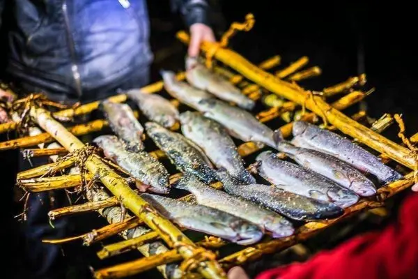 Fische liegen auf einem improvisierten Holzgestell aus Ästen