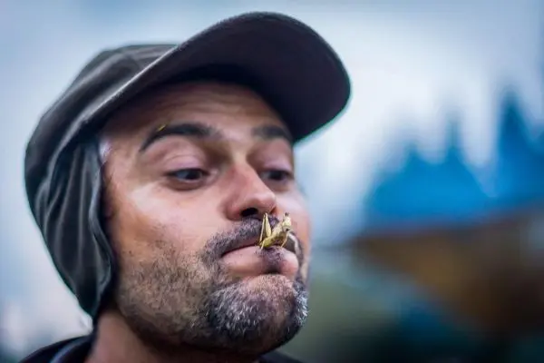 Mann hält eine Heuschrecke zwischen den Lippen und schaut konzentriert