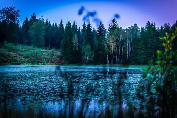 Stillgewässer spiegelt Bäume und Himmel in sanften Farben wider