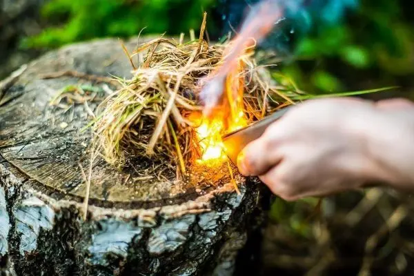 Zunder glimmt auf Baumstumpf, während Feuerstahl Funken erzeugt