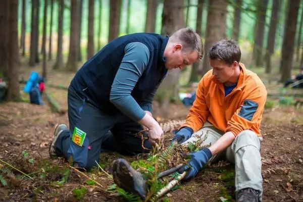 Zwei Personen knien im Wald und arbeiten an einer Pflanze mit Werkzeug