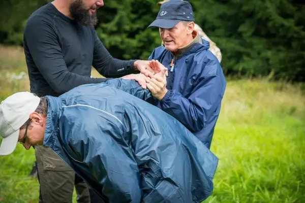 Drei Personen helfen sich gegenseitig in einer Wiese, eine Person beugt sich vor