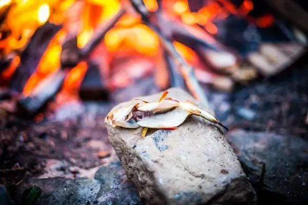 Fisch liegt auf einem Stein neben einem Feuer beim Überlebenstraining