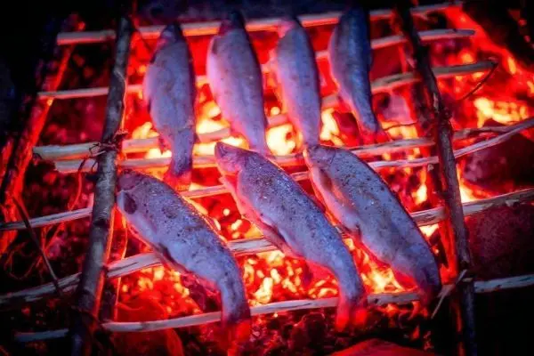 Fische werden über glühenden Kohlen auf einem improvisierten Grill gegart