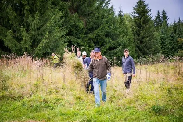 Gruppe trägt geschnittenes Gras durch eine Wiese mit Bäumen im Hintergrund