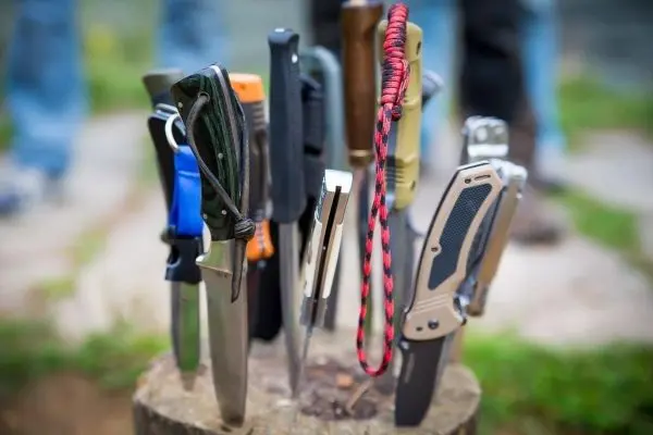 Mehrere Messer stecken in einem Baumstumpf, verschiedene Klingen und Griffe sichtbar