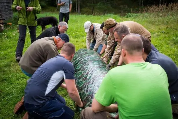 Mehrere Personen heben eine Tarp-Notunterkunft gemeinsam an