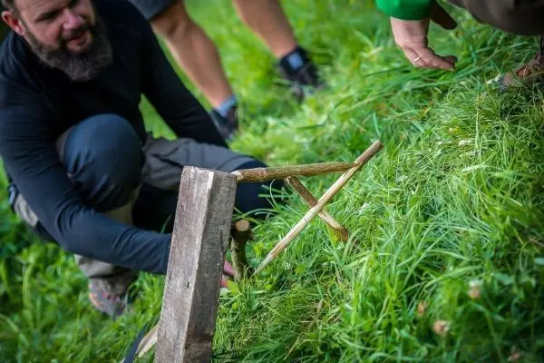 Schlagfalle (Figure-Four) wird auf dem Boden konstruiert