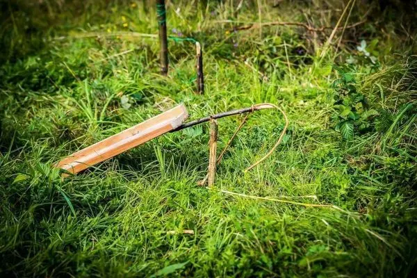 Schlingenfalle aus Holz und Schnur im hohen Gras aufgebaut
