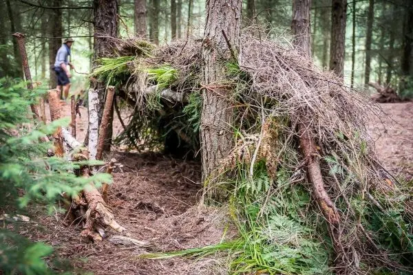 Selbstgebaute Tarp-Notunterkunft aus Ästen und Laub im Wald