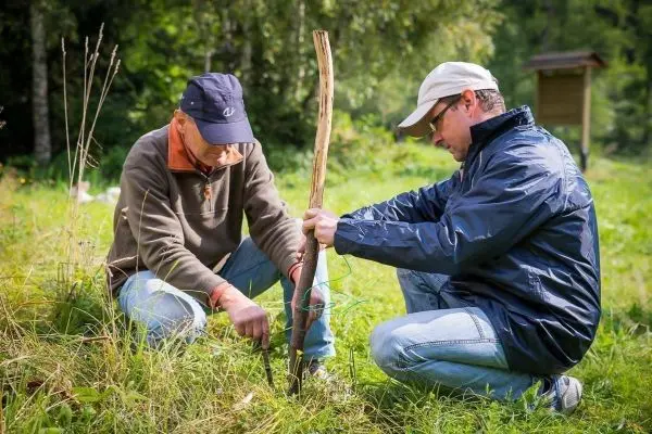 Zwei Personen bauen eine selbstgebaute Konstruktion aus Holz und Schnur im Gras