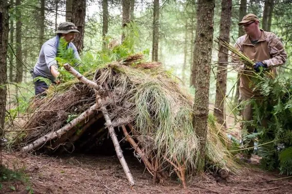 Zwei Personen bauen eine Tarp-Notunterkunft aus Ästen und Pflanzenmaterial