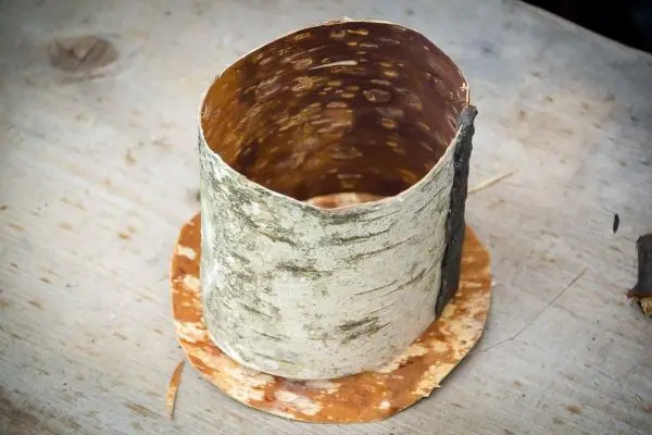 Behälter aus Birkenrinde auf einer Holzoberfläche platziert