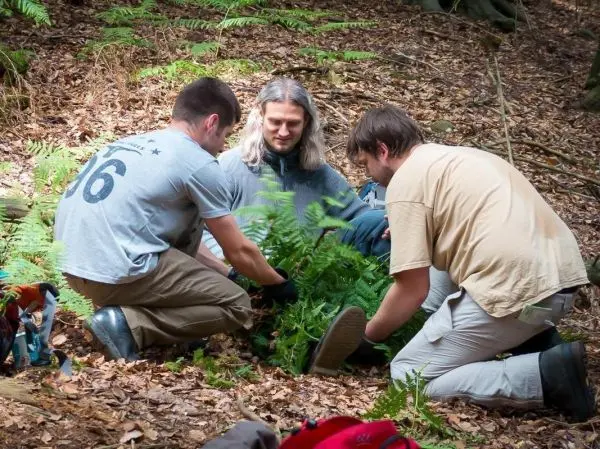 Drei Personen arrangieren Farne auf dem Boden im Wald