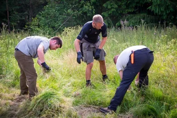 Drei Personen schneiden Gras in einer Wiese mit Handschuhen und Werkzeug