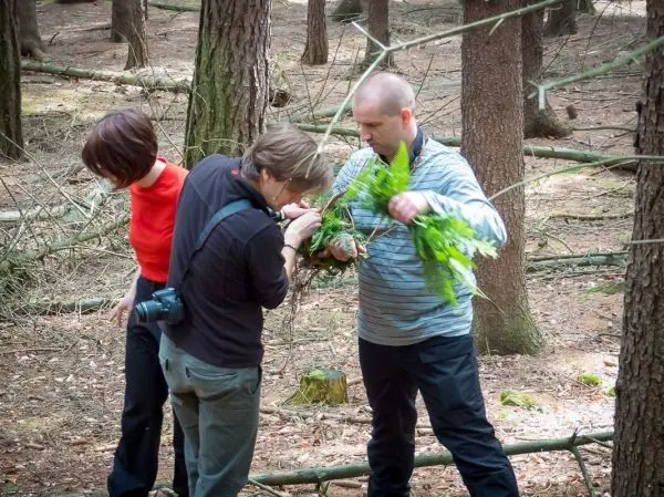 Drei Personen untersuchen Pflanzenmaterial im Wald, einer hält frische Blätter