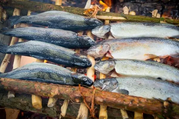 Fische liegen auf einem Holzrost über einer Feuerstelle