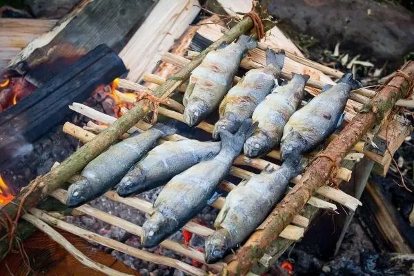Fische werden über einem Feuer gegrillt auf einer Holzstruktur
