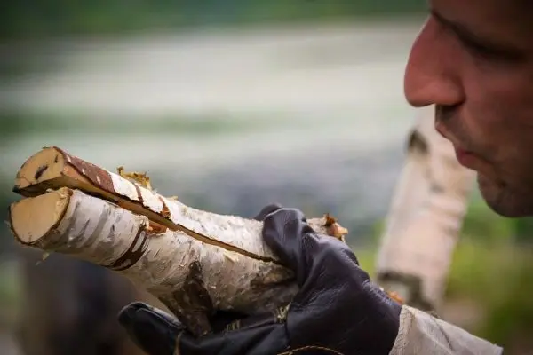 Holzstück mit Kerbe wird in der Hand gehalten