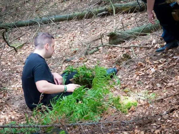 Mann sitzt im Wald auf dem Boden, umgeben von Farnen und Laub