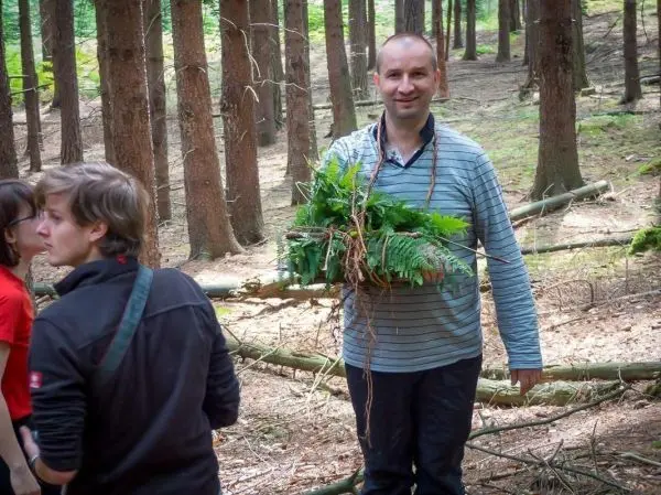 Mann trägt einen Bündel aus Pflanzen und Moos im Wald