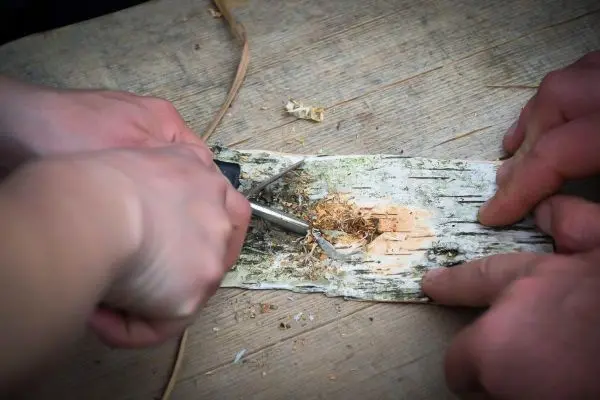 Person schnitzt mit einem Messer in eine Birkenrinde beim Überlebenstraining