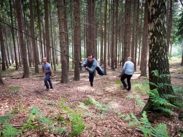 Person schwingt an Seil zwischen Bäumen im Wald