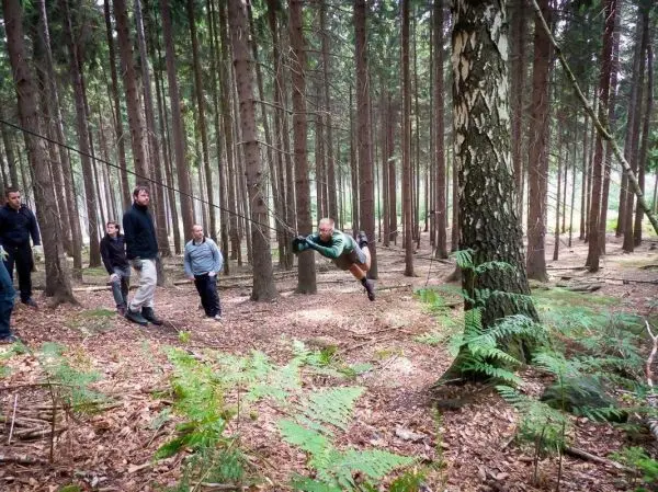 Person schwingt an Seil zwischen Bäumen im Wald beim Survival Training
