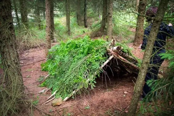 Person steht neben einem selbstgebauten Unterschlupf aus Ästen und Blättern