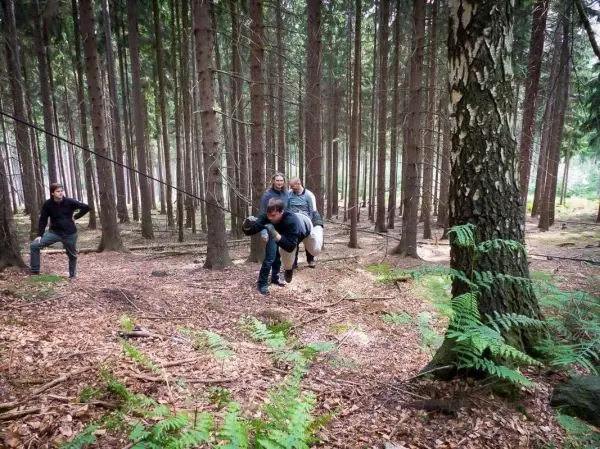 Seilquerung mit mehreren Personen in einem Waldgebiet