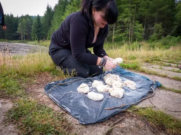 Teig wird auf einer Folie geknetet und geformt