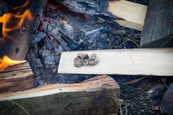 Zunder glimmt auf einem Holzbrett neben einem kleinen Feuer