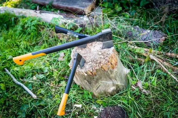 Axt und Beil stecken in einem Holzstumpf auf grünem Gras