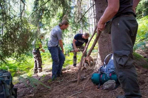 Drei Personen arbeiten im Wald mit Holzstücken und einem Hund