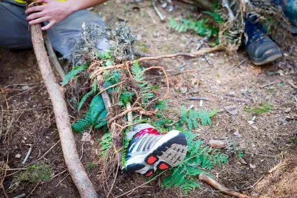 Ein Schuh liegt zwischen Ästen und Farnen im Wald