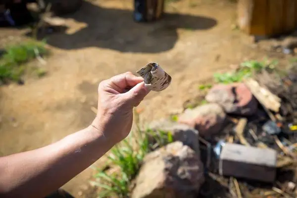 Hand hält ein Stück Rinde, umgeben von Steinen und Gras