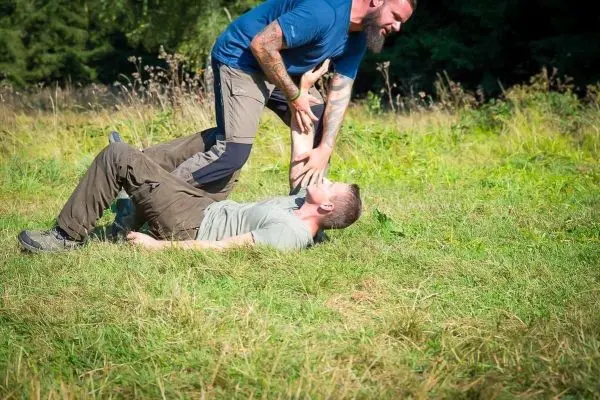 Person hilft anderer Person beim Aufstehen auf Wiese