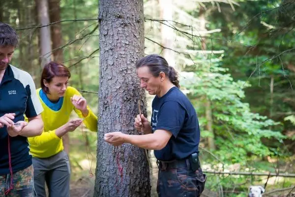 Person schnitzt an einem Baum, während andere zuschauen