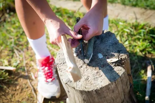 Person schnitzt mit einem Messer in einen Holzstamm
