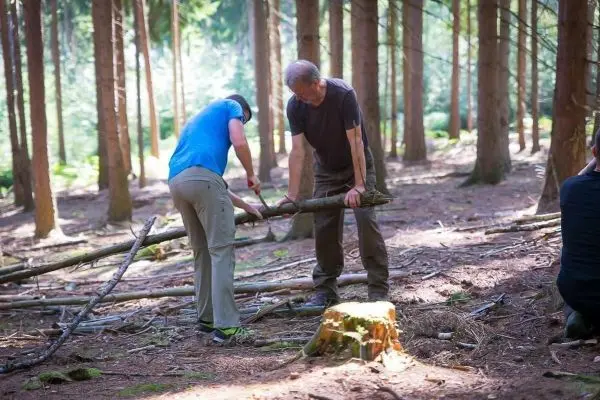 Zwei Personen bearbeiten einen Holzstock im Wald
