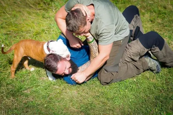 Zwei Personen ringen auf dem Gras, ein Hund ist dabei