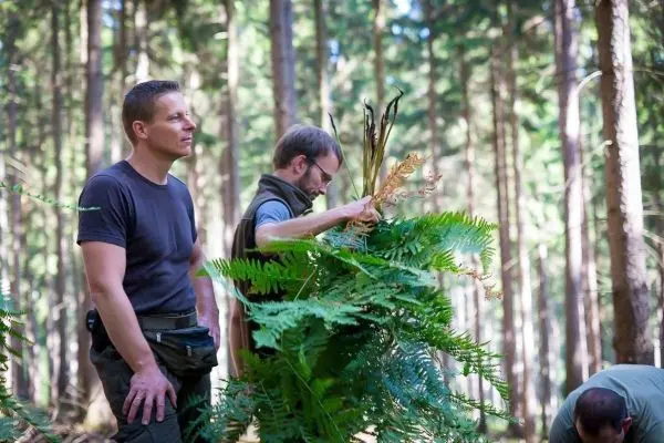 Zwei Personen sammeln Pflanzenmaterial im Wald für eine Notunterkunft