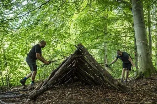 Team-Survival-14152