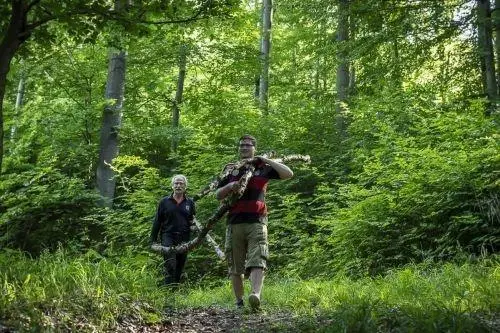 Team-Survival-14178