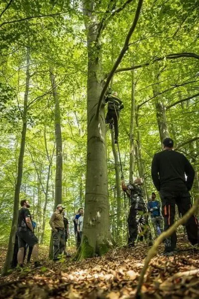 Ein Teilnehmer klettert an einem Baumstamm, während andere zuschauen